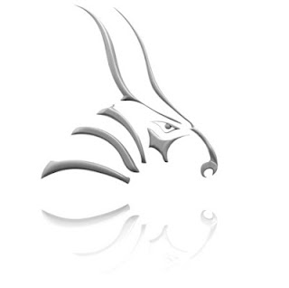 Bongo_reflection logo